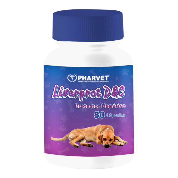 Liverprot D&C - Image 2